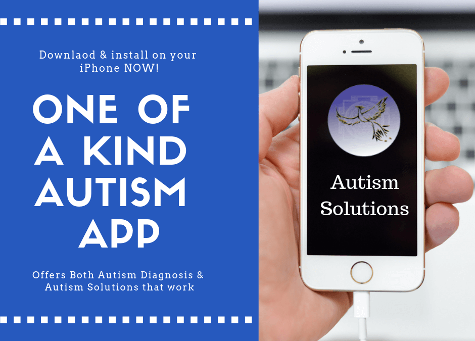 Autism and Technology