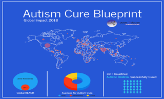 global leader of autism cure