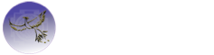 Authentic Autism Solutions